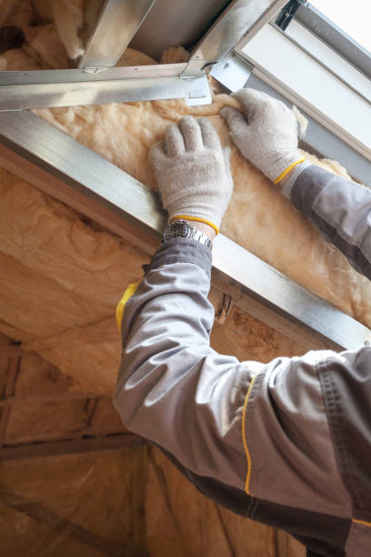 Best Spray Foam Insulation  in Rhome, TX